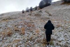 Palmarino verso il Lago dell'Orso