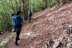 Nel bosco iniziale
