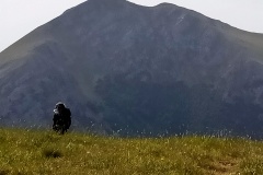 Il Pollino
