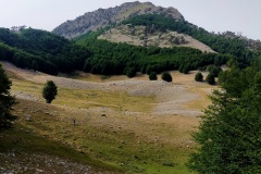 Verso i Piani di Pollino