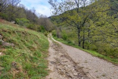 Strade tortose