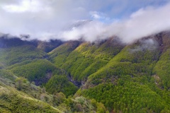 Nebbia in quota