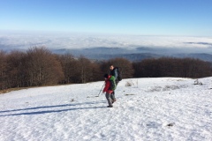Sotto dei Casali