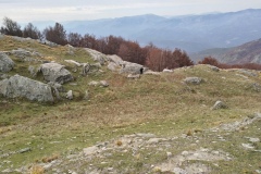 Scendendo verso il bosco iniziale