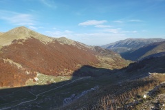 In pieno autunno