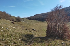 Scendendo dal Valico della Corte