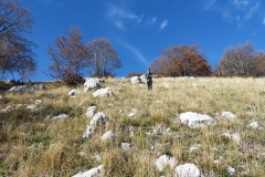 Alessio in discesa libera