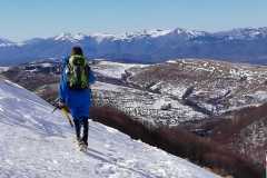 Un quadro di montagna