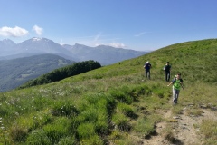 Fuori dal bosco iniziale