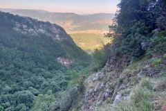 Radure nel bosco