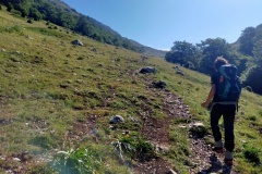 Alessio fuori dal bosco