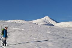 Sculture di Neve