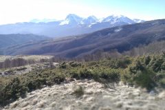 Verso il GS