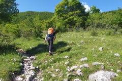 Primi passi dentro il bosco