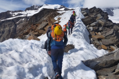 Stralci di neve