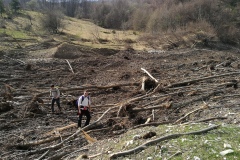 Tra i resti degli alberi caduti