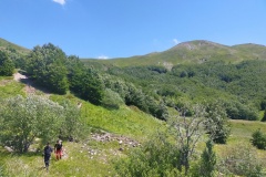 Scendendo dal Monte Cimoncino