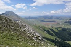 Colori sulla piana di Castelluccio