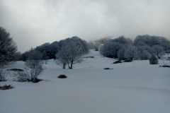 Iniziamo a vedere l'inverno