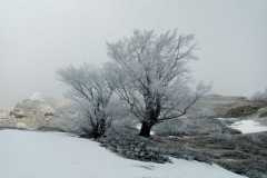 Sculture tra la neve