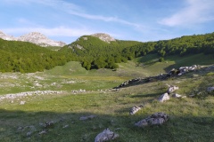Verde primaverile