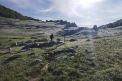 Mattinate di primavera