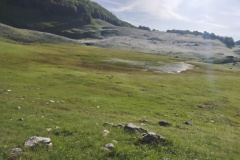 Il lago quasi oscurato dal verde