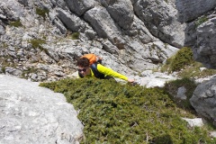 Alessio tra gli arbusti del PNALM