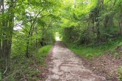 Quasi alla strada