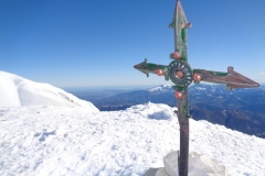 Cima di prato pulito