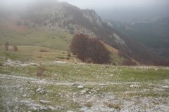 Risalendo dal bosco