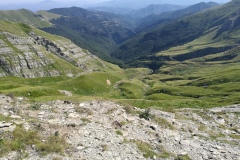 Osservando verso i boschi della Morricana