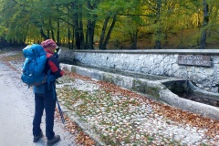 Francesco in partenza