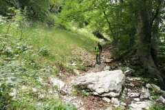 Nel bosco iniziale dopo Madonna dell'Ambro
