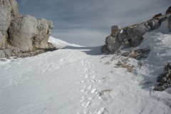 Nei pressi del passo di Sasso Borghese