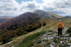 Monte Palombo in lontanza