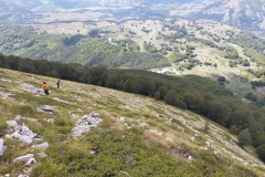 Davanti a noi il bosco dello Schiappito