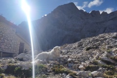 Il guardiano del Gran Sasso...ZEN!