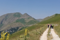 Lungo la sterrata in direzione Ara del Re