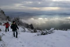 Stefano nel bosco iniziale