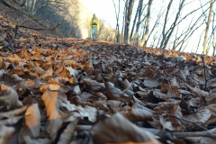 Immersi tra l'autunno