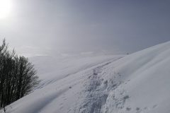 Scene di bianco invernale