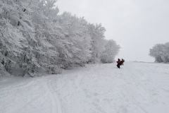 In discesa sulle piste