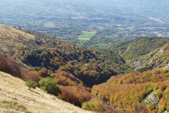 Autunno pieno!