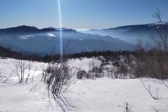 Nebbia in basso del canale