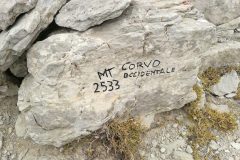 Corvo Occidentale