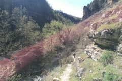 Sole nella Valle