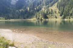 Riflessi di lago