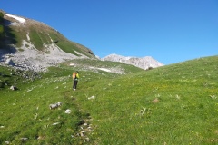 Immagini di piena primavera