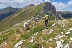 Stefano scendendo verso la valle